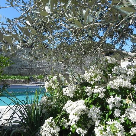 Villa Del Re 3 Face A La Piscine La Flotte Eksteriør bilde